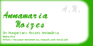 annamaria moizes business card